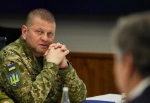 В Верховной Раде назвали новое место работы главкома Залужного