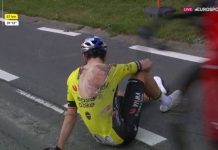 Ваут ван Арт получил переломы в результате падения на Dwars door Vlaanderen-2024