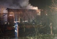Четверо маленьких детей погибли в страшном пожаре в Подмосковье