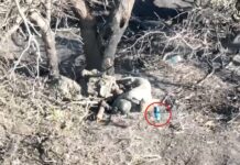 «Взорвали дроном-камикадзе»: бойцы ВСУ казнили тяжелораненого русского солдата — БлокнотРУ — Новости СВО. Новости СВО сегодня. Новости СВО сегодня 14 июня. СВО 14.06.24. Новости СВО 14.06. СВО. Новости. СВО новости на сегодня. СВО 14.06.2024. Новости с фронта. Яндекс новости СВО онлайн. Удары по Украине сегодня. Новости СВО на сегодня. Последние новости с СВО. Новости фронта. СВО последние новости. Новости с фронта сегодня. Карта боевых действий. СВО новости. Новости СВО на сегодня. Новости СВО на Украине сегодня.