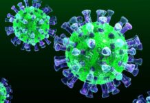 Ученые открыли ген, способный предотвратить распространение Covid-19