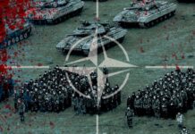 «Летний лагерь для нацистов»: военные НАТО едут на Украину