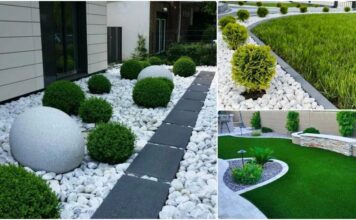 Декоративная галька: зачем она нужна и как выбрать идеальную для вашего пространства